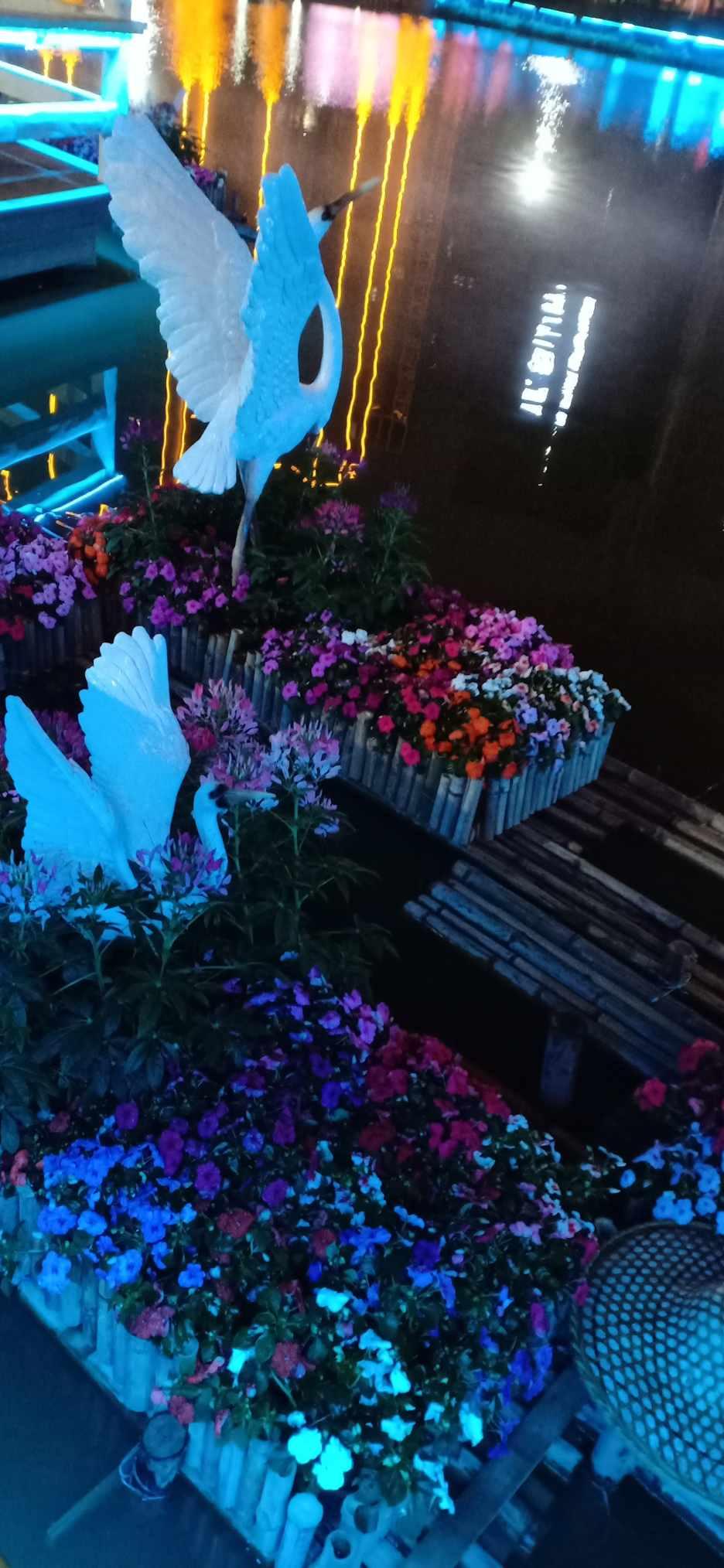 公主设计师大赛